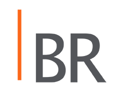 Bimsa Reports short logo